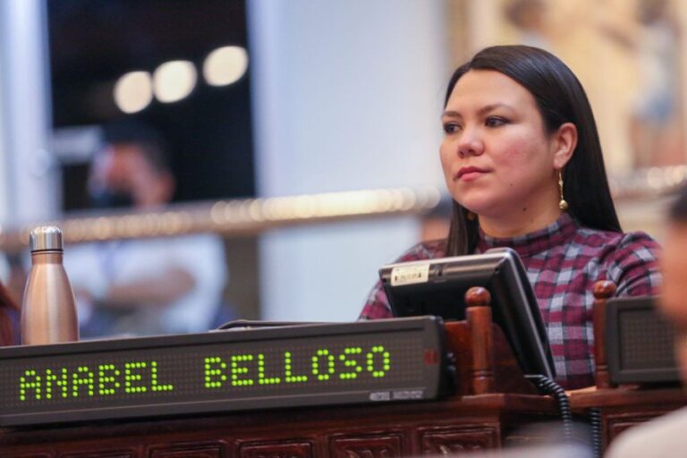 Diputada Anabel Belloso admite que hay pugnas y disputas internas en el